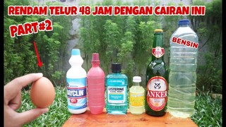 TELUR!! 48 JAM DIRENDAM dengan Bensin, Pemutih dll.. Part2 #experiment