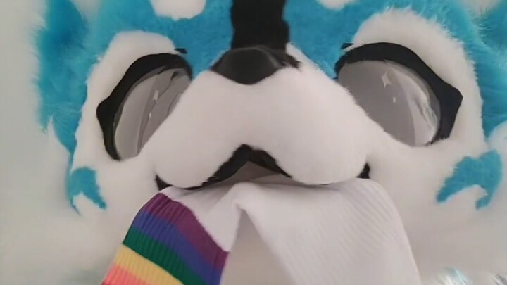 تلفزيون الشينرين: عاشق الفوري في الجوارب البيضاء