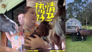 热情好马，从不敢动到感动的转变🐎