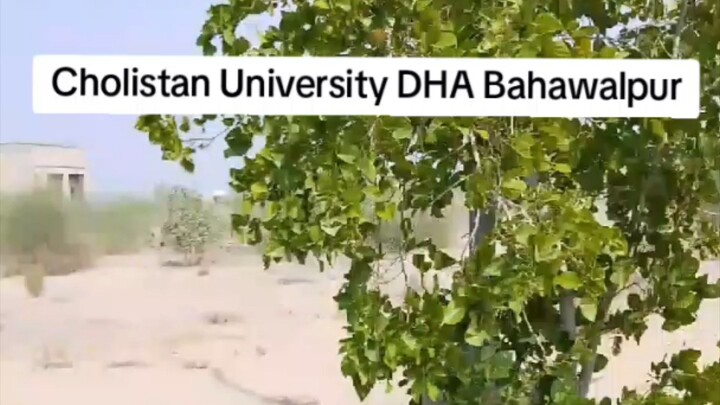 Visiting Cholistan University of veterinary and animal sciences DHA Bahawalpur