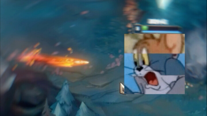 Tôi nuôi bé báo trong rừng