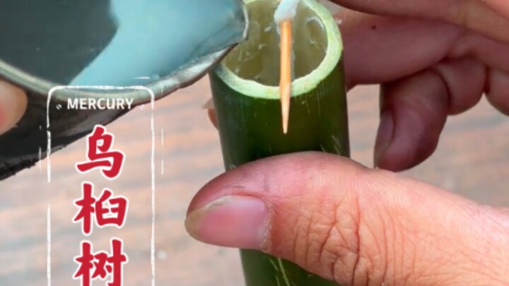 “Wujizi” traditional candle-making—please watch till the end; this is a method documented in the anc