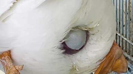 كادت مشاهدتي تقتلني من القلق!