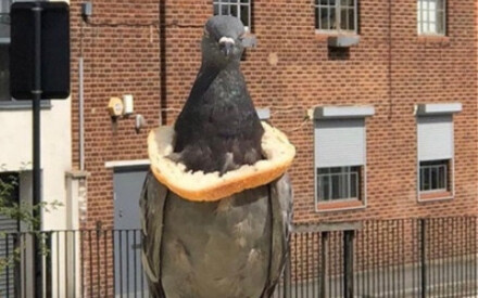 The Cursing Life in Britain 25.0 (London Humanities)