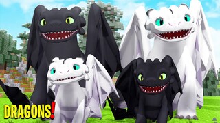 SAVING a NIGHTFURY FAMILY! - Minecraft Dragons