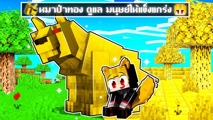 จะเกิดอะไรขึ้น!! หมาป่าทอง ดูแลผม.. ให้มีพลัง แข็งแกร่ง ใน Minecraft!