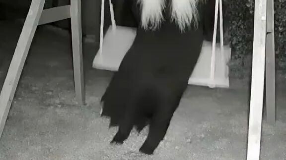 movi clip