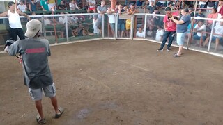 win at calinan gallere