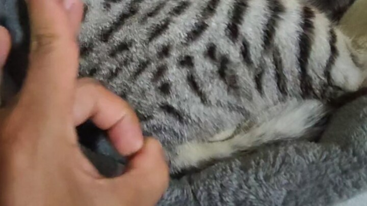 Dandan dapat exp yang terpental, sekarang sudah nggak keluar lagi.