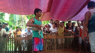 Bangkas (Win)