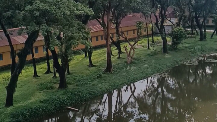 孟加拉国的自然风光