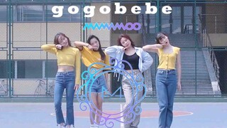 四只柠檬喜提魔都艳阳天清新翻跳MAMAMOO-gogobebe