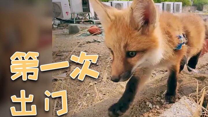 【Bánh tart trứng】Trải nghiệm bị cáo lừa là như thế nào?