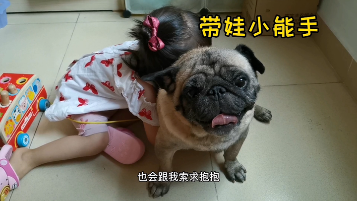 ปั๊กพาน้องมนุษย์มาสองปี สุนัขกับเด็กเกิดการเปลี่ยนแปลงอย่างไรบ้าง