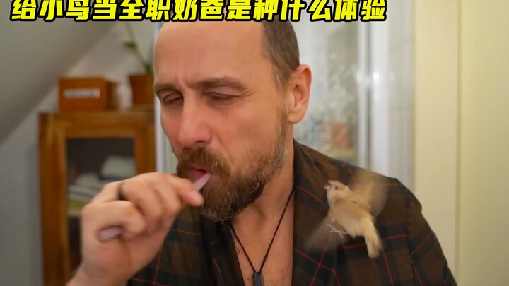 Trải nghiệm làm “bố bỉm sữa” toàn thời gian cho chim non là như thế nào?