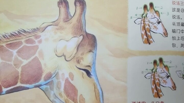 أُعيد طبع هذه المجموعة من القصص المصوّرة التي كتبتها، مع إضافة الكثير من المعارف والمعلومات.