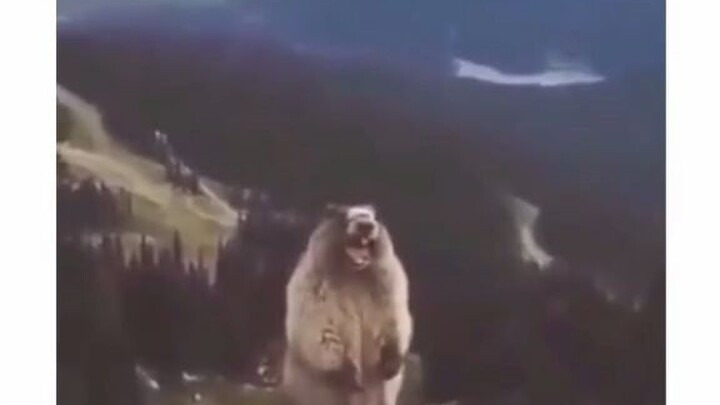 Saingan Rich Brian 😎