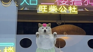 "Not a single grain of food is earned without effort."