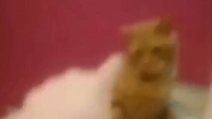 เด็กๆ มันไม่ตลกเลย