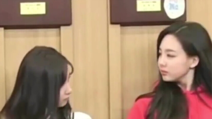 جينغ وانغ جينغ هـوو تأكدتا من النظرات                                  [TWICE] سانا لين نالين