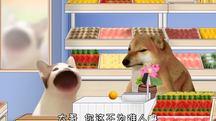 ชีมส์ คุณถือคำตอบมาถามคำถาม ทั้งที่รู้อยู่แก่ใจแต่แกล้งทำเป็นไม่เข้าใจ