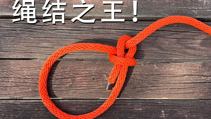 طريقة سهلة لربط عقدة برين، ملك العقد، التي تُستخدم لرفع الأشخاص – تتعلمها بمجرد النظر.