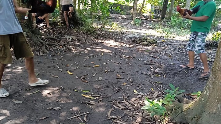 ulats yong mayahin ko  mga ka tupads
