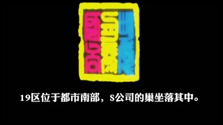 【月亮计划】S公司介绍