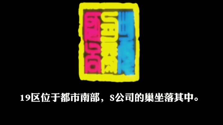 【月亮计划】S公司介绍