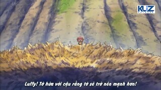 " 2 năm sau chúng ta gặp lại nhau nhé mọi người "One Piece P1