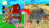 ⚡️【12 TNT ที่สามารถทำลายทุกสิ่งที่คุณสร้างได้!】- (Minecraft TNT)