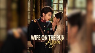 Vợ lại bỏ trốn (phần 2) - Wife on the run, again (part 2) - Phụ đề tiếng Việt