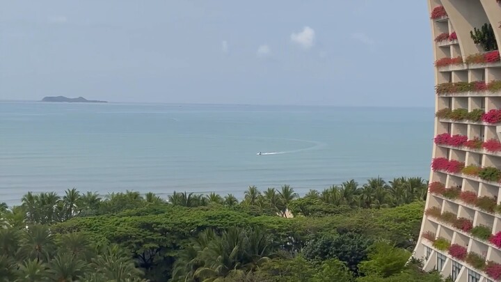 Casual travel snaps in Sanya: facing the sea, where spring blooms and flowers blossom.