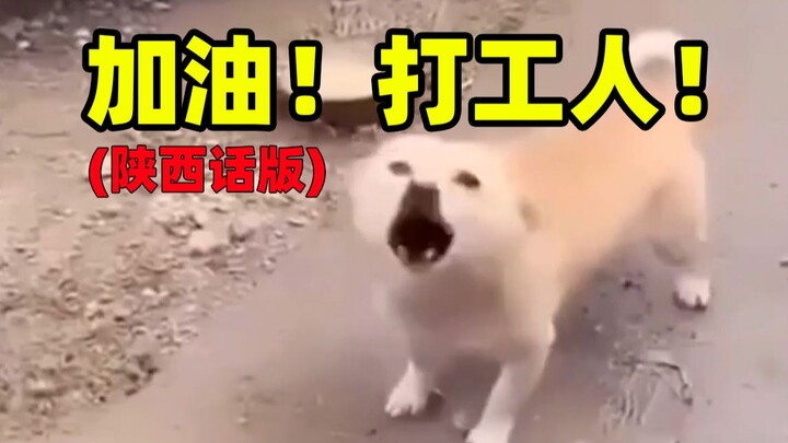 【Shaanxi dialect version】Come on, working people!