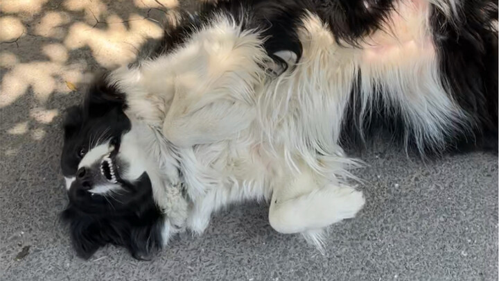 “Cola về đi” lâu rồi mới xuất hiện, vẫn y như xưa.