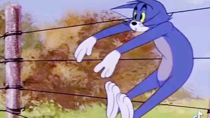 tom và jerry phiên bản hủy diệt.