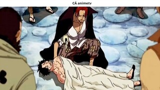 Tất tần tật về năng lực và sức mạnh của Shank _ Giả Thuyết _ 6