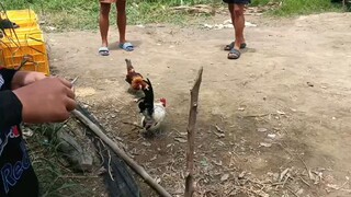 first fight