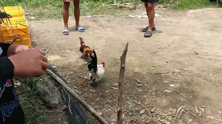 first fight