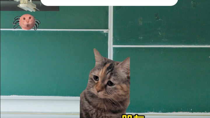 ขอให้ทุกคนสอบป้องกันสำเร็จ ผ่าน ผ่าน ผ่าน!