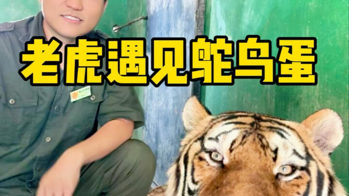 ต่อไปวันหนึ่งก็กินไข่แค่ฟองเดียว!