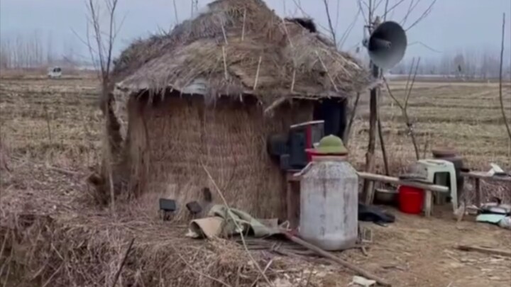 Độc thân lâu rồi thì với lừa cũng nhảy được.