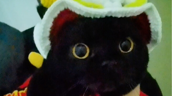 ปีนี้ตอนตรุษจีนฮิตอธิษฐานขอให้สัตว์เลี้ยงช่วยดลบันดาลให้ร่ำรวยกันหรือเปล่า?