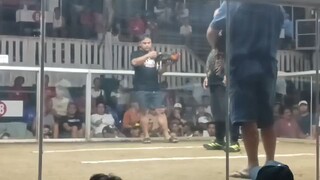 j5g Borloloy in pila