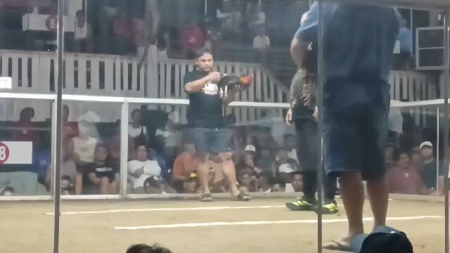 j5g Borloloy in pila