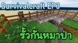 สร้างรั้วบ้านใต้ดิน กันหมาป่าได้ | survivalcraft2 EP3 [JUB TV]