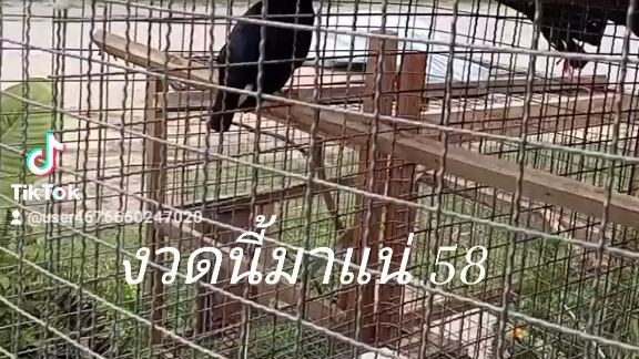 💯 × 💯 เลยจร้า