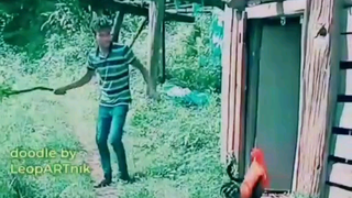 flo nhập