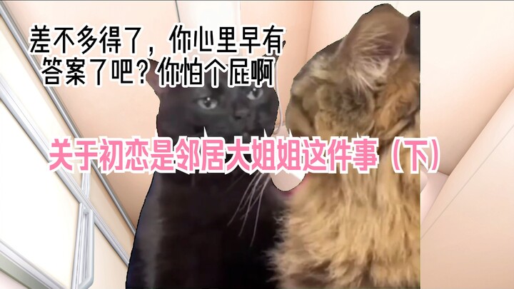 【猫meme】关于初恋是邻居大姐姐这件事（下）完结篇