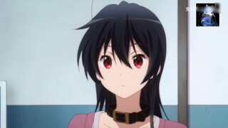 Rikka, kẻ thù cũ của vị vua độc ác Makoto Kotori Yu Touka, người chị cả bên ngoài lạnh lùng và bên t